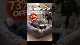 Super Soft Orthopedic Dog Bed #shorts #dogbed #BuyersBluePrint