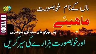 Man Da Ladla ! Nazar Hussain Awan | Hindko mahiye ! Latest hazara Songs | Mahiye