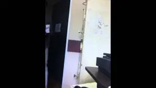 IMG 1950
