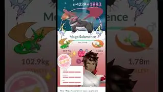 Maxed Out✨️Shundo Mega Salamence to Level 50 in Pok&eacute;mon GO