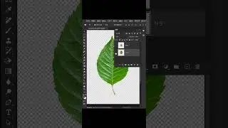 Ps tutorial leaf carving effect production #ps tutorial #ps
