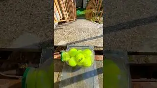 Glass Bottle vs Stairs⚠️🔥 Rolling Bottles till the end  #shorts