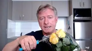 Tullen Snips - Cutting Virtually Anything
