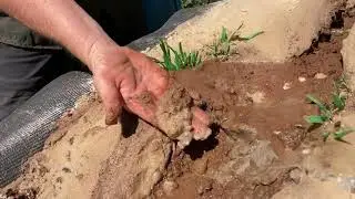 IWA - Erosion and Deposition model