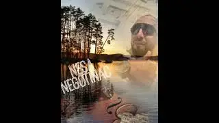Nikola negotinac nesa kolo 2021