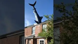 Headington Shark Sculpture #freedaysout #cheapdayout Oxford