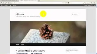 WordPress Theme Editing Basics for TwentyTen & TwentyEleven Default Themes