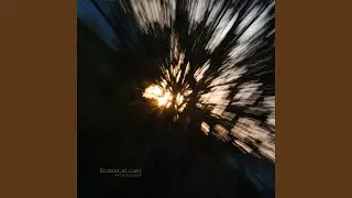 Glimpse of Light