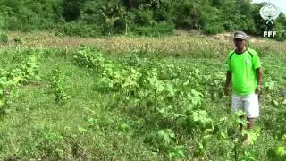 Bongdo Bio farming Cluster History and Current Activities