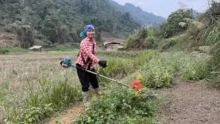 Simple clothes drying rack design - mowing the lawn to prepare for the new vegetable crop.