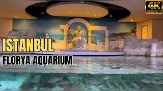 🇹🇷 Turkey Istanbul Aquarium Florya 4K