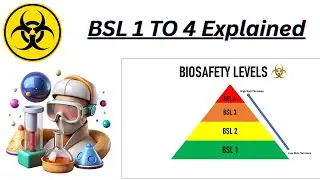BSL 1 to BSL 4 Explained| #biosafety