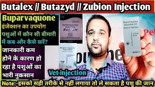Butalex/Butazyd/Zubion(Buparvaquone)Injection का उपयोग पशुओं में कौन सी बीमारी में कब और कैसे करें?