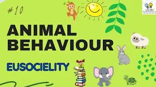 ANIMAL BEHAVIOR || PART-10 || EUSOCIALITY || EUSOCIALITY IN HONEY BEES