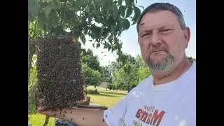 TVBA Treatment Free but not Stupid Zoom Bee Club Meeting.