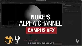 Compositing for beginners tutorial: Nuke's Alpha channel (9/9) | Campus VFX