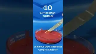 + 10 ANTIOXIDANT COMPLEX