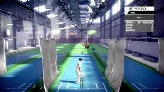 Don Bradman Cricket 14 | My Batting Tips