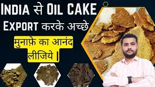 How To Export Oil Cakes From India || India  से Oil Cake export करके अच्छे मुनाफ़े का आनंद लीजिये |