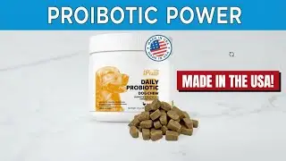 iPaw Duck Flavored Probiotic Treat. Made In The USA!