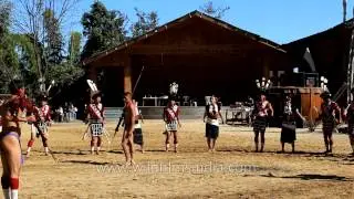 Warrior dance of Rengma Naga tribe, Nagaland