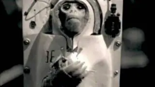 Space Simian