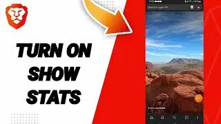 How To Turn On Show Top Stats On Brave Private Web Browser,VPN App