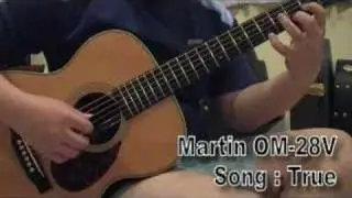 True : Song by Martin Taylor, Martin OM-28V