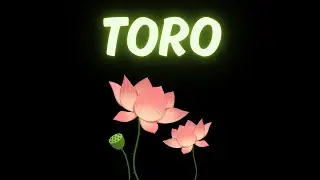 TORO 😍 TESORO! FINIRAI CON QUELLA PERSONA, TORO!! 🤣 💑 🤐 GENNAIO 2026
