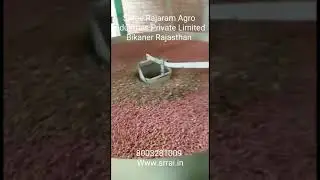 Automatic Groundnut Decorticator Plant | Peanut Processing Plant