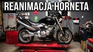 Honda CB600F Hornet serwis zawieszenia,zaworów i łożyska główki ramy...