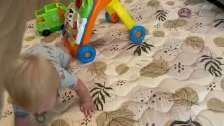 Blissful Diary Baby Play Mat, Extra Thicker & Large 71 x 59 Playpen Mat, Soft Cushioning Foam Baby M