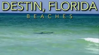 Stay SAFE at Destin, Florida Beaches! Important Tips