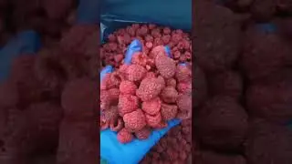 The European Fruit Shortage: How to Secure Your Raspberry Supply Chain