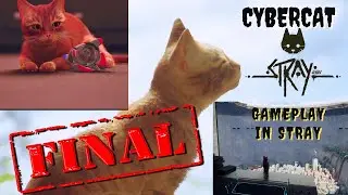 GAME STRAY_FINAL! COMPLETE GAME! ROBOTS UNLEASHED | LOSS B12 #stray #strayпрохождение #straygameplay