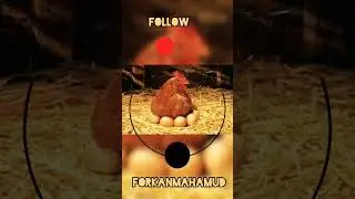 Show the egg hatching || forkan tech. #funny #viral #comedy