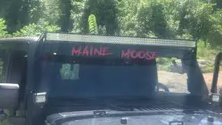 View  from trail ride