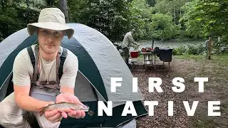 Fly fishing for Matt's FIRST Pennsylvania native brook trout