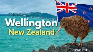 Trip To Wellington 🇳🇿
