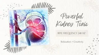 ❋ Powerful Kidney Tonic ~ Healing | Relaxation | Creativity | Rife Frequencies ~ Rain Sounds