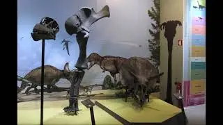 🏛️🗺️ Jurassic Lisboa:🦖🦕 Museu Nacional de História Natural e da Ciência 🚡