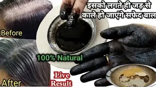 यह DIY Hair Dye बालों को इतना काला कर देगा की हेयर डाई भूल जाओगे How to Cure Grey/White Hair