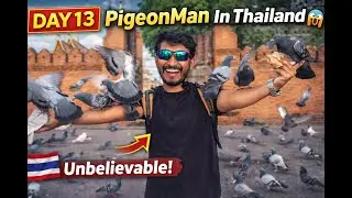 PigeonMan In Thailand 😱 | Birds Everywhere | Thailand Vlog Day 13 🇹🇭