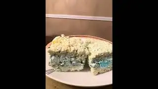 Rice KRISPIE ICE Cream Sandwich worth the hype?