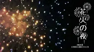 2024大和田公園花火大会【夏の思い出】