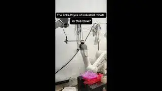 The Rolls-Royce of industrial robots &mdash; is this true?