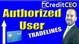 Авторизованные торговые линии | Опытные кредитные счета