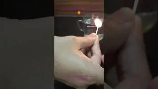 #purehoney #honey #test #shorts #trendingshorts #youtubeshorts #vlog #viral #trending #shortvideo