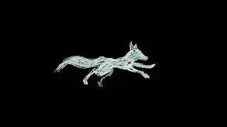 Stonekey Kong - Running Silver Fox