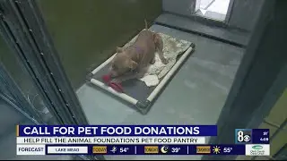 Animal Foundation in need of donations for pet food pantry